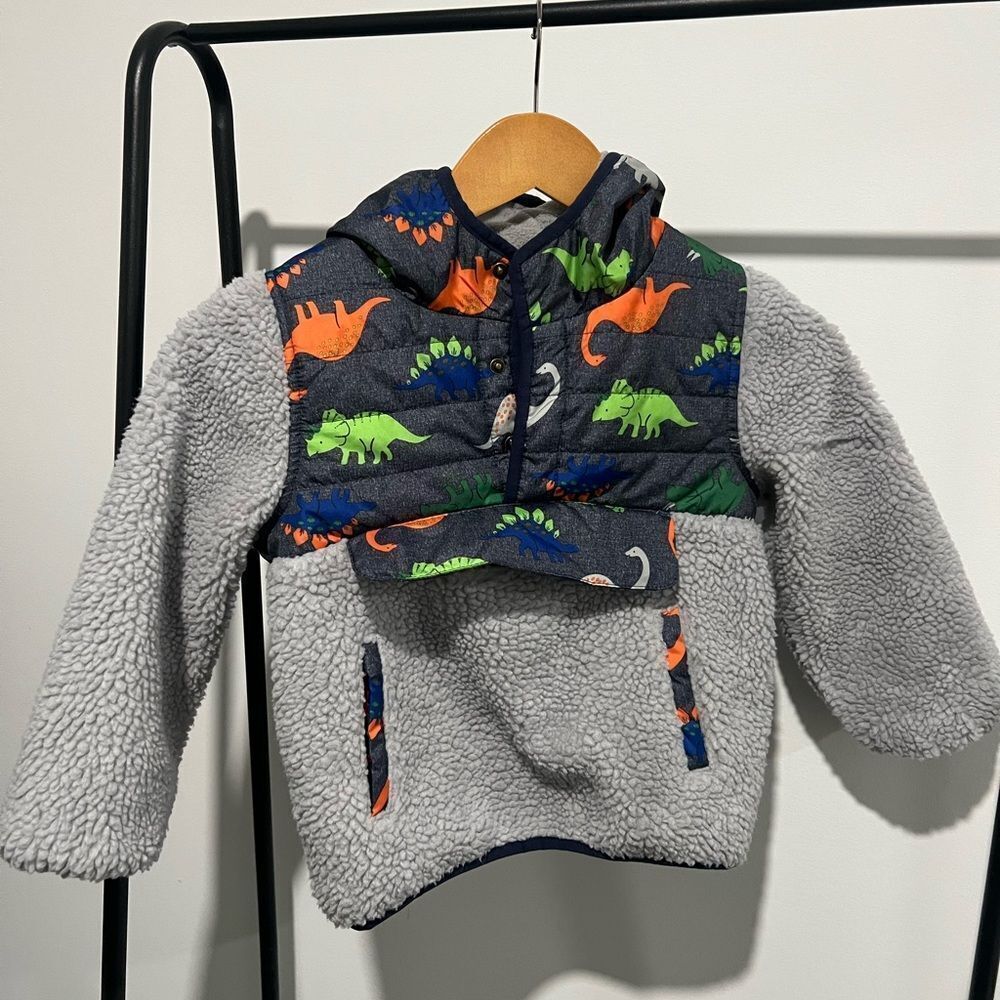 Dinosaur Fleece Pullover Size 4T